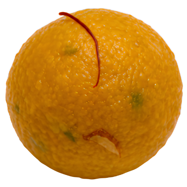OG Motichur Ladoo